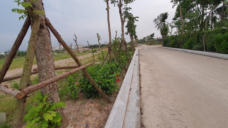 đường kết nối vào dự án đã trồng cây xanh và trải đường